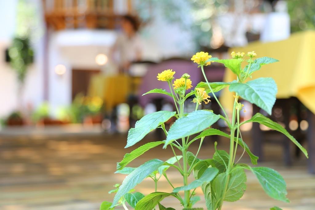 Hôtel Akyaka Yali Capkini Extérieur photo